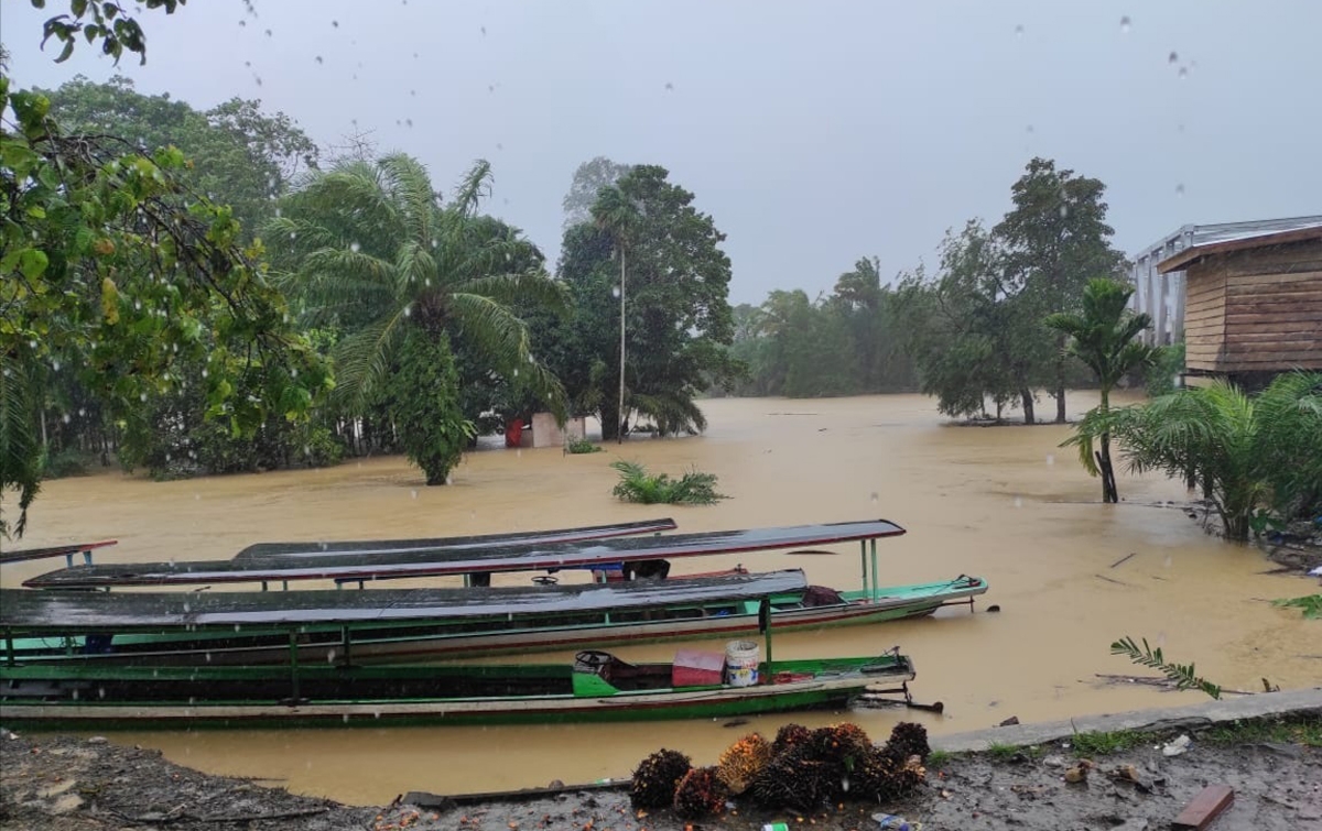 Pasca Banjir, Pemerintah Pusat Diharap Bantu Petani di Madina
