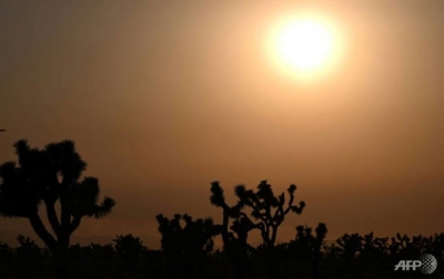 PBB: Sejak 2015, 2021 Menjadi Tahun Terpanas