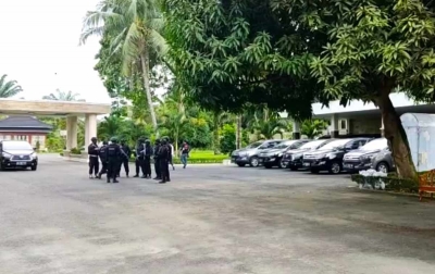 BKSDA Sita Orangutan dari Rumah Bupati Langkat