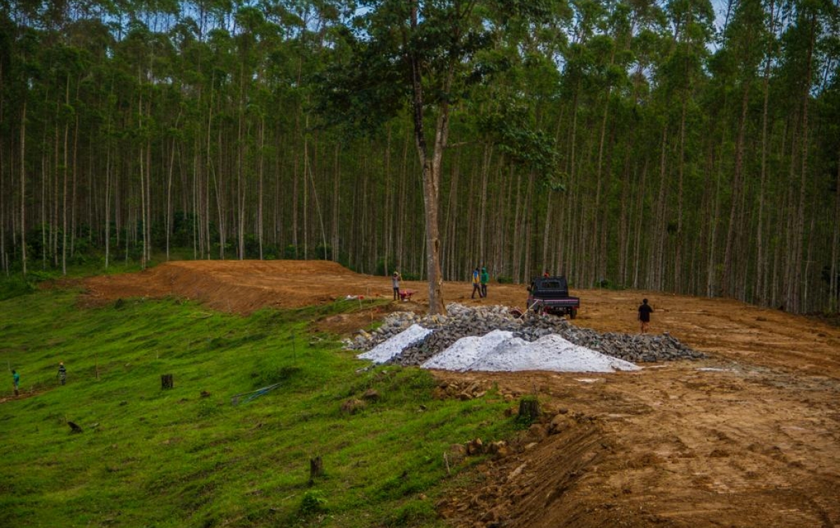 Ombudsman Sebut UU Ibu Kota Negara Penuhi Kebutuhan Hukum Indonesia