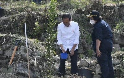 Jokowi Tanam Macadamia Bersama Masyarakat Desa Simangulampe Humbahas