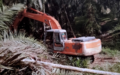 Mantan Kades Ujung Batu I Tersangka Perusakan Kebun Sawit Warga