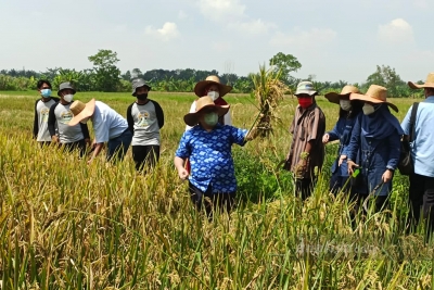 Yafsi Promosikan Hasil Pertanian Pedesaan Ramah Anak Melalui Agro Expo