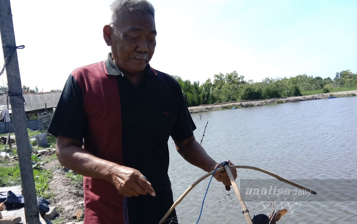 Terdampak Pandemi, Pelaku Budidaya Kepiting Bertahan dengan Modal Usaha