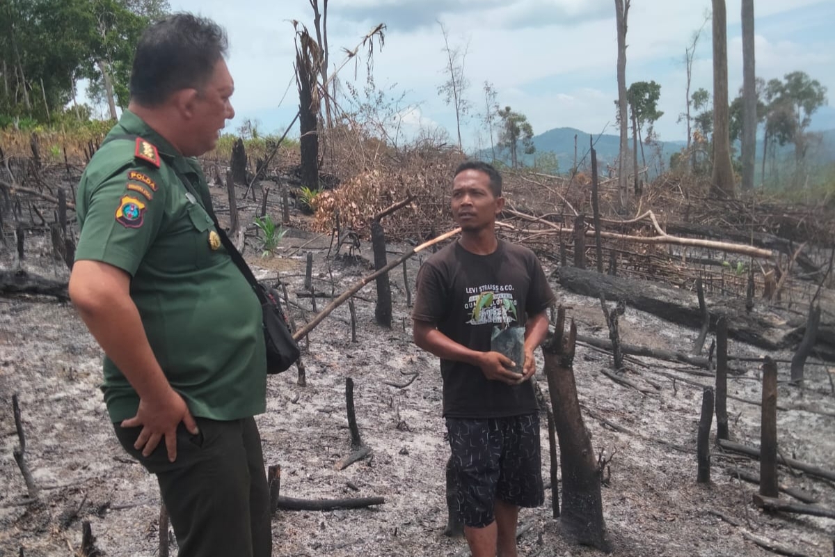 KPH VI Sipirok Tertibkan Perambah Hutan Nabundong
