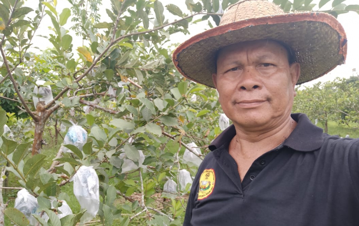 Cerita Petani Jambu Binaan BRI yang Pensiunan Polisi