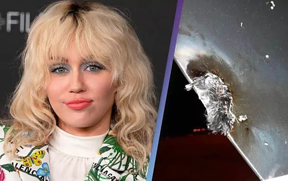 Jet Miley Cyrus Disambar Petir, Scott: Alhamdulillah Kalian Selamat