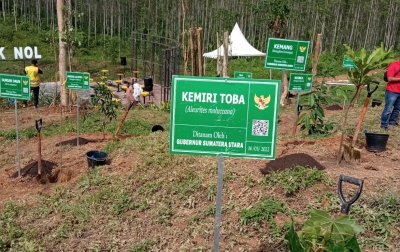 Edy Rahmayadi Tanam Pohon Kemiri Toba di Titik Nol IKN Nusantara