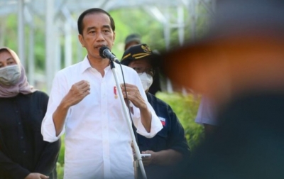 Presiden Jokowi Terima Usul Perayaan HUT RI 2024 di IKN Nusantara