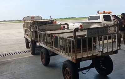 Ratusan Ekor Burung Impor Dikembalikan ke Negara Asal