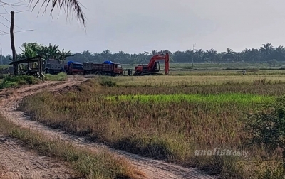 Jalan Kebun Socfindo Tanjung Buluh Digunakan untuk Jalur Galian C Diduga Ilegal