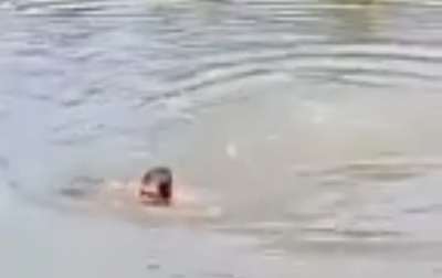Tragis, 4 Anak Sidimpuan Tewas Tenggelam di Kolam Pancing