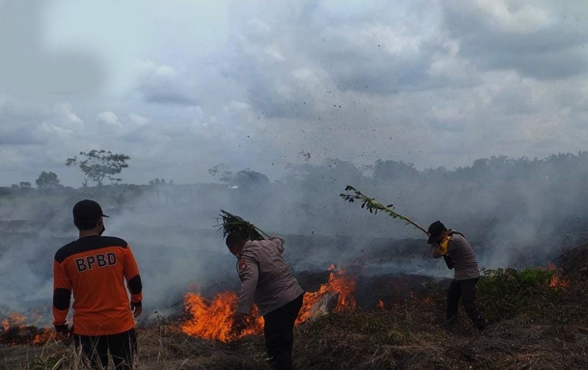 5 Hektare Lahan Terbakar, Waspada Awal Musim Kemarau