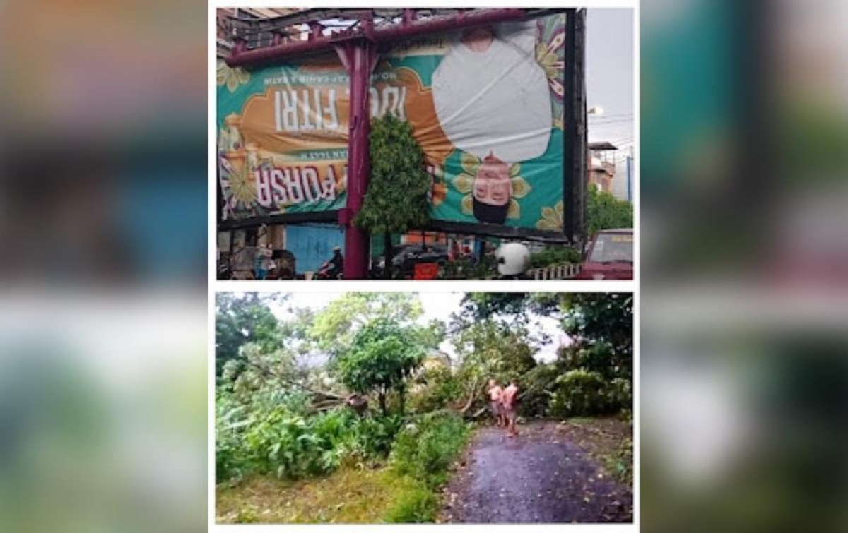 Dilanda Hujan Deras Disertai Angin Kencang, Pohon dan Baliho di Binjai Tumbang