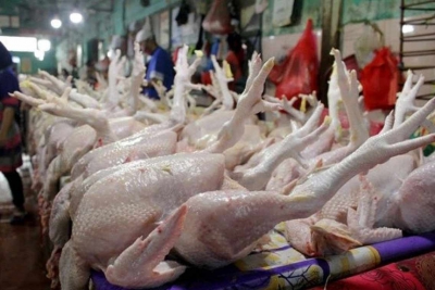 Harga Ayam Potong Naik, Ini Kata Penjual Nasi Gurih