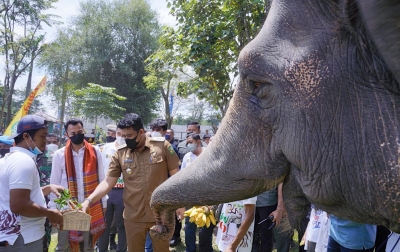 Kunjungi Medan Zoo, Raffi Ahmad Akan Lakukan Investasi