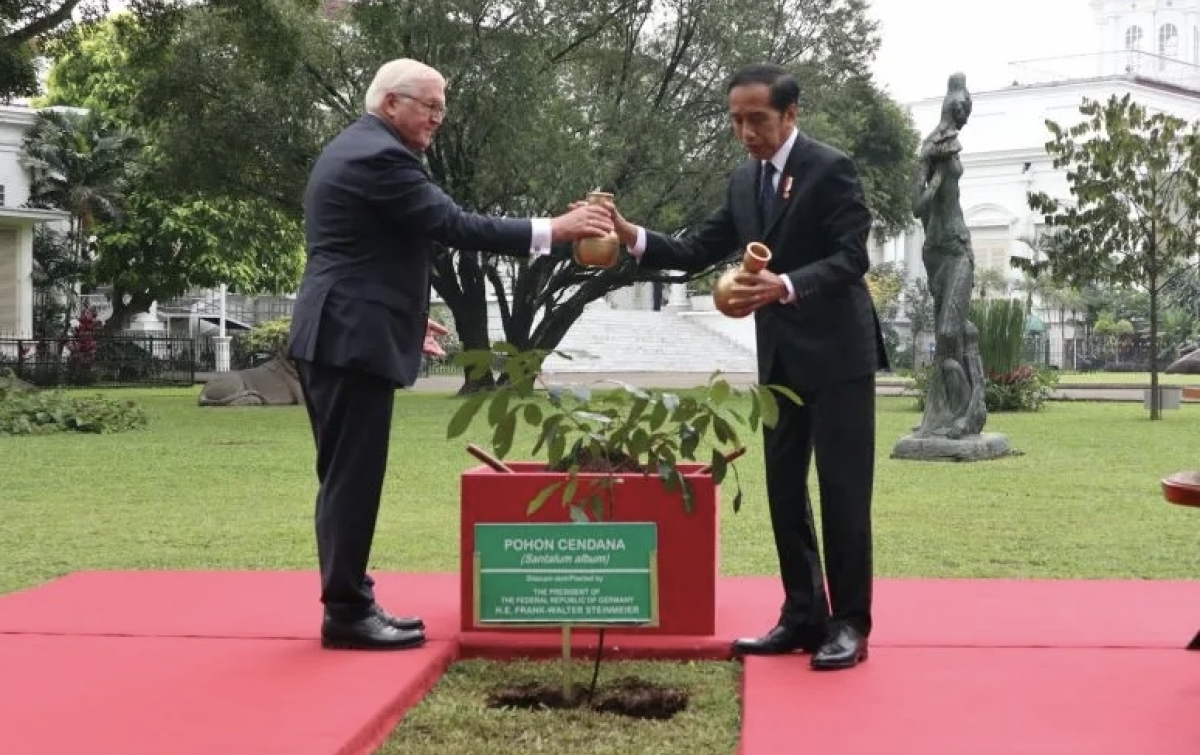 Kunjungan Steinmeier Peringati 70 Tahun Hubungan Diplomatik Indonesia-Jerman