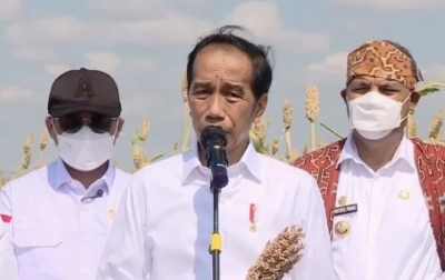 Jokowi Panen Sorgum Sebagai Alternatif Hadapi Krisis Pangan