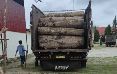 Dinas Kehutanan Sumut Amankan Truk Bermuatan Kayu
