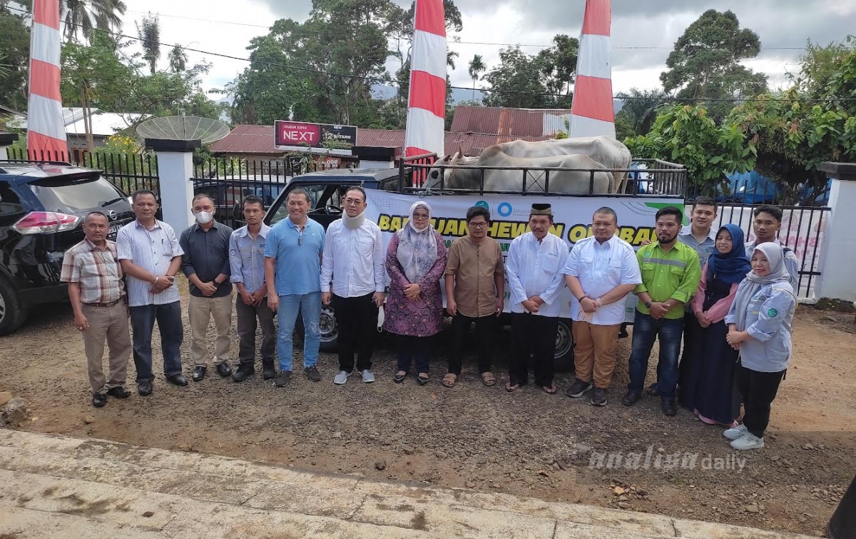 Dolly Pasaribu Serahkan Bantuan Sapi Kurban PLTA Batangtoru ke Masyarakat