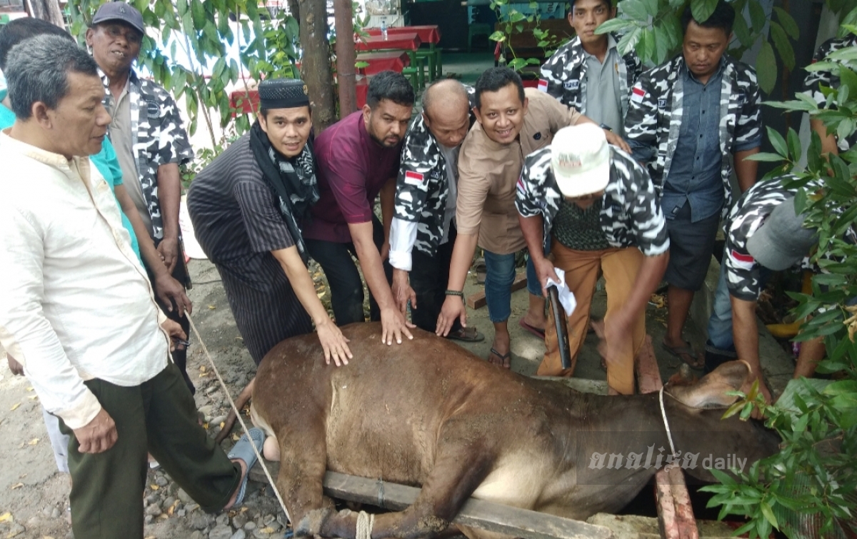 Bapera Sumut Kurbankan Dua Ekor Lembu untuk Jurnalis