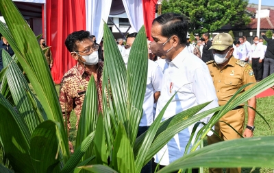 Jokowi Tinjau Inovasi Pengolahan Minyak Kelapa Sawit, Gubsu Apresiasi Upaya Peningkatan Ekonomi Petani Kecil