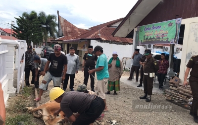 PWI Bersama Kejari Paluta Kurban Bersama