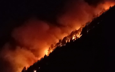 Karhutla di Muara, 1 Orang Tewas