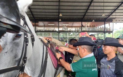 Menjaring Bibit Muda Berprestasi Lewat Perlombaan Pacuan Kuda