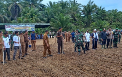 Manfaatkan Lahan Tidur dengan Tanaman Jagung