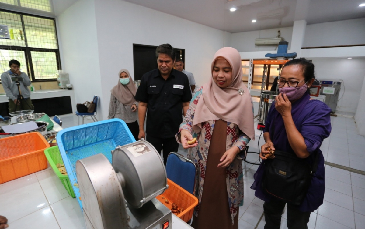 Dosen USU Lahirkan Inovasi Pengolahan Rempah Menjadi Jamu Tradisional di Desa Pondok Tengah untuk Ketahanan Tubuh