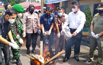 Polres Asahan Musnahkan 891 Gram Ganja Kering