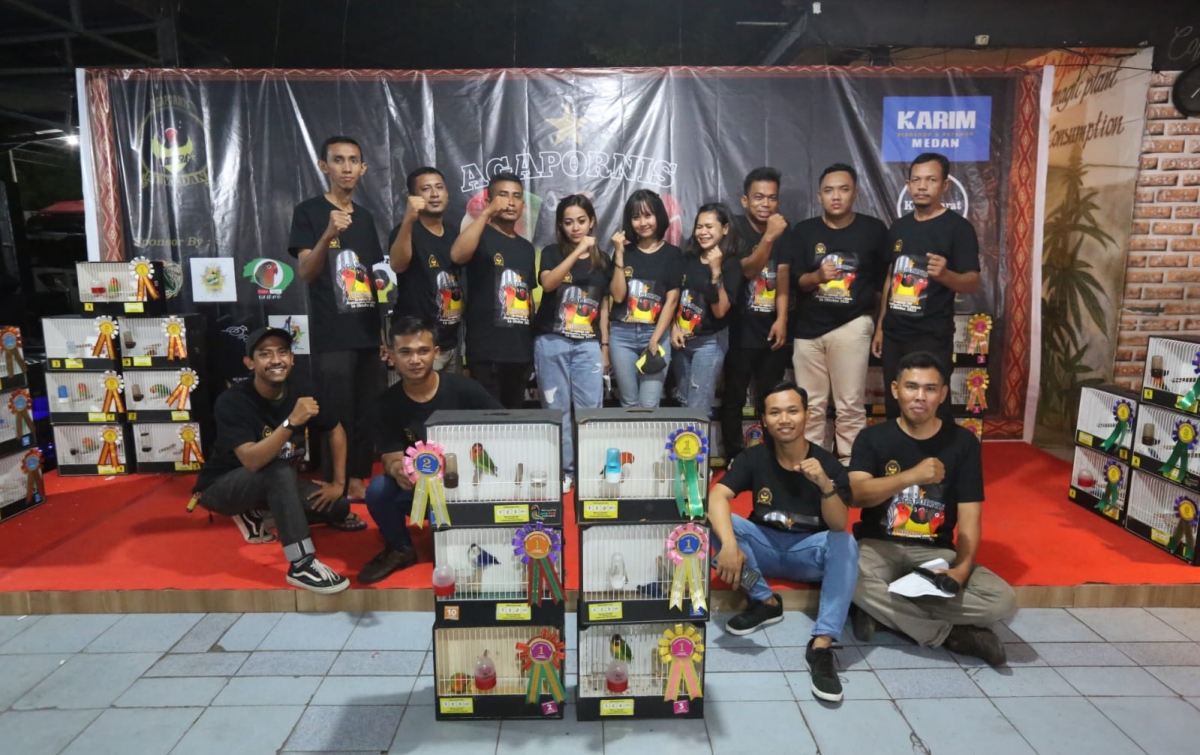 Ai Medan Buktikan Beauty Contest Love Bird Masih Banjir Peminat