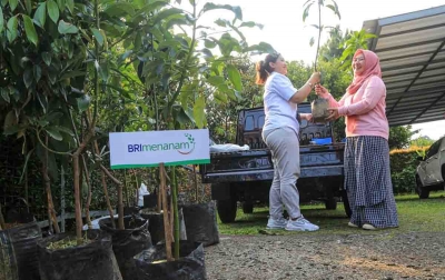 Dukung Net Zero Emission, BRI Menanam Proyeksikan Kontribusi Penurunan Emisi Karbon Hingga 23% di 2025