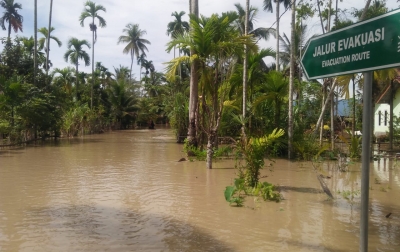Aceh Utara Banjir, Sawah Seluas 230 Hektare Terancam Gagal Panen