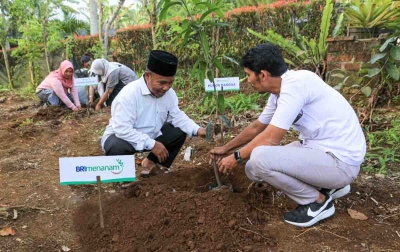 Dukung Pengurangan Emisi, BRI Menanam Proyeksikan Penyerapan Karbon Hingga 108 Ribu Ton CO2