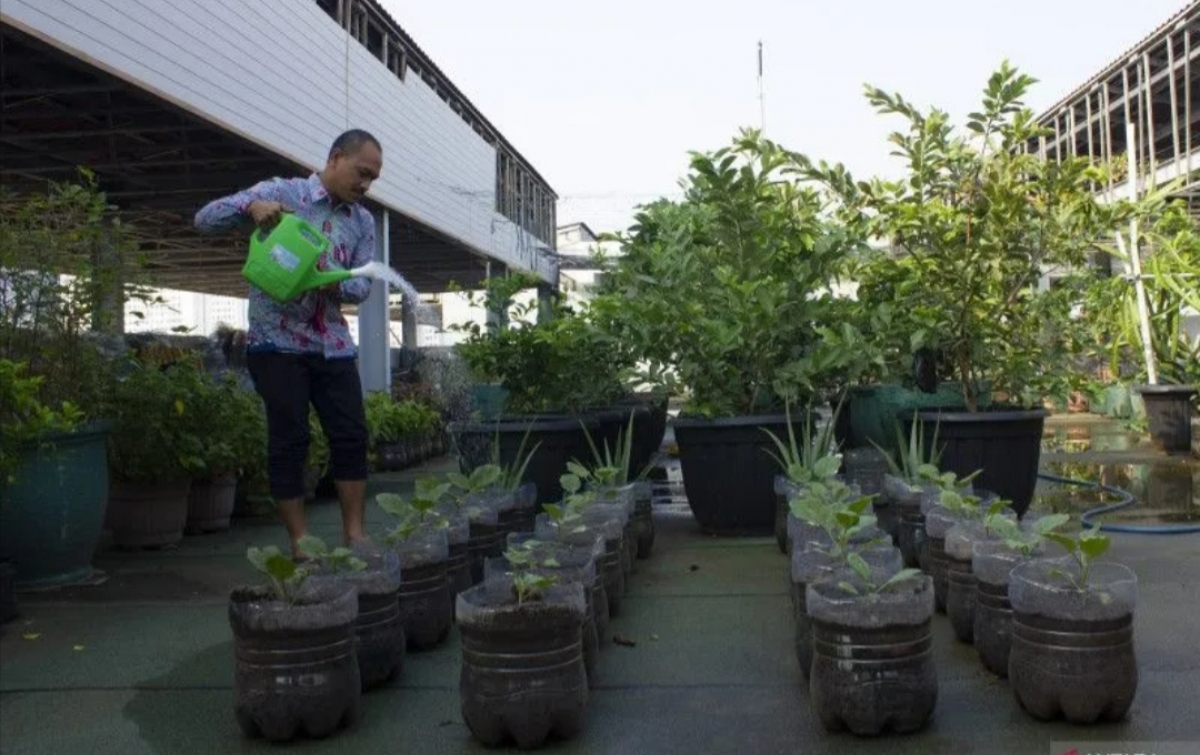 514 Pusat Pelatihan Pertanian Ditargetkan Terbentuk di Indonesia