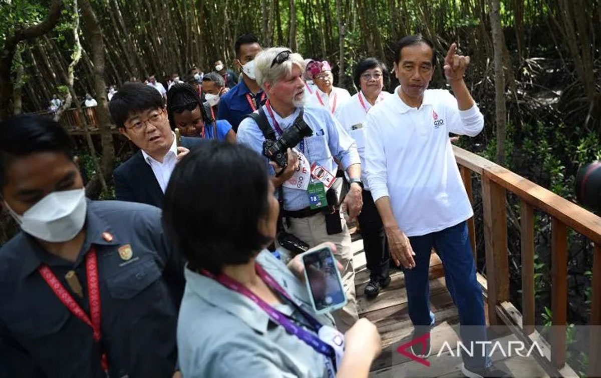 Joko Widodo Ajak Perwakilan Media G20 Keliling Tahura di Bali