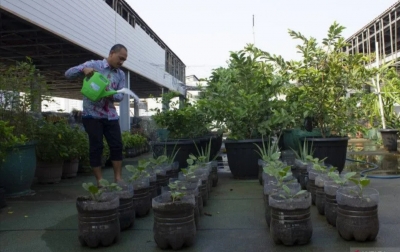 514 Pusat Pelatihan Pertanian Ditargetkan Terbentuk di Indonesia