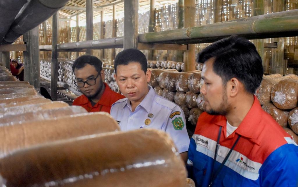 Pertagas Kembangkan Budidaya Jamur Tiram dan Ajak Masyarakat Peduli Lingkungan