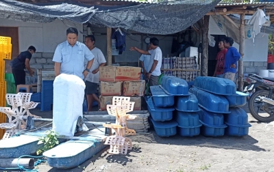 LPEI Fasilitasi Desa Devisa Klaster Udang