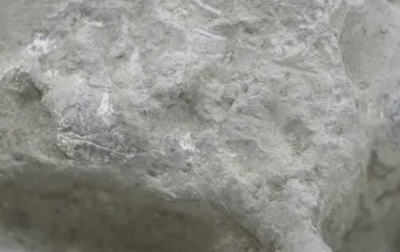 Fosil Tengkorak Homo Erectus Jutaan Tahun di China Berhasil Digali