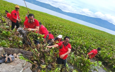 Jaga Kelestarian Danau Toba, Ketua DPD PDI Perjuangan Sumut Turun Langsung Bersihkan Enceng Gondok