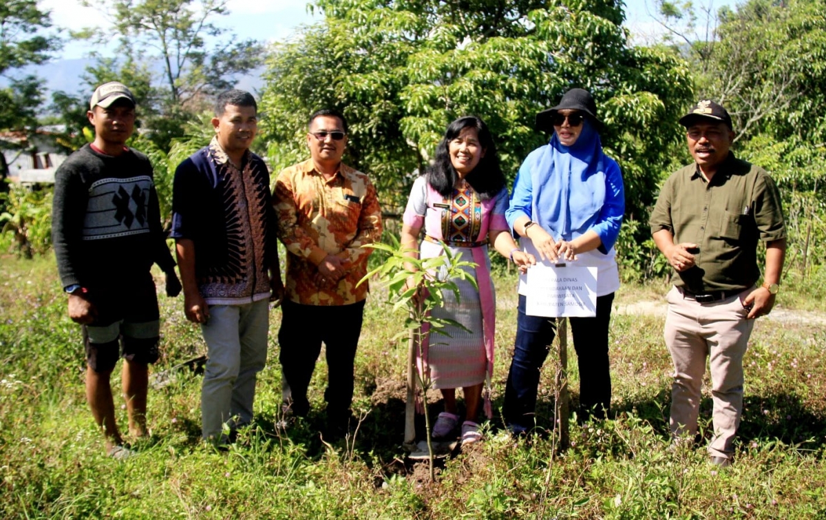 KSI Tanam Ratusan Pohon Mangga dan Nira di Desa Wisata Hutatinggi