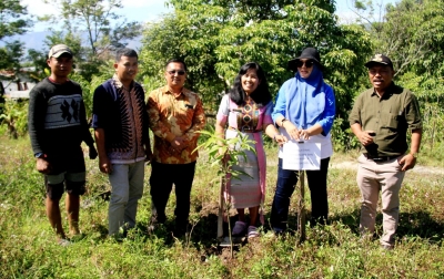 KSI Tanam Ratusan Pohon Mangga dan Nira di Desa Wisata Hutatinggi