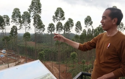 Jokowi Tunjukkan Lokasi Istana Kepresidenan di IKN
