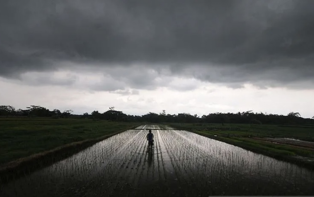 Waspada! Sejumlah Wilayah Berpotensi Alami Hujan Lebat dan Angin Kencang