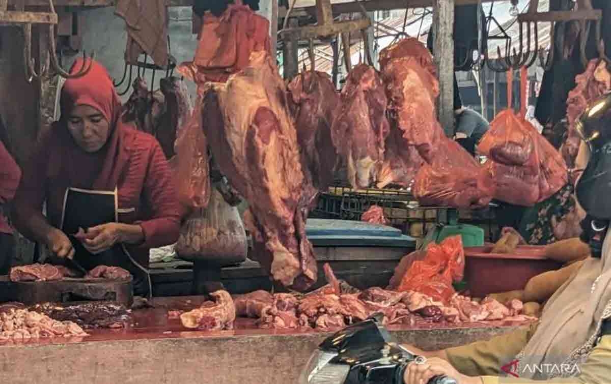 Penuhi Kebutuhan, Bulog Sumut Minta Pasokan 90 Ton Daging Impor