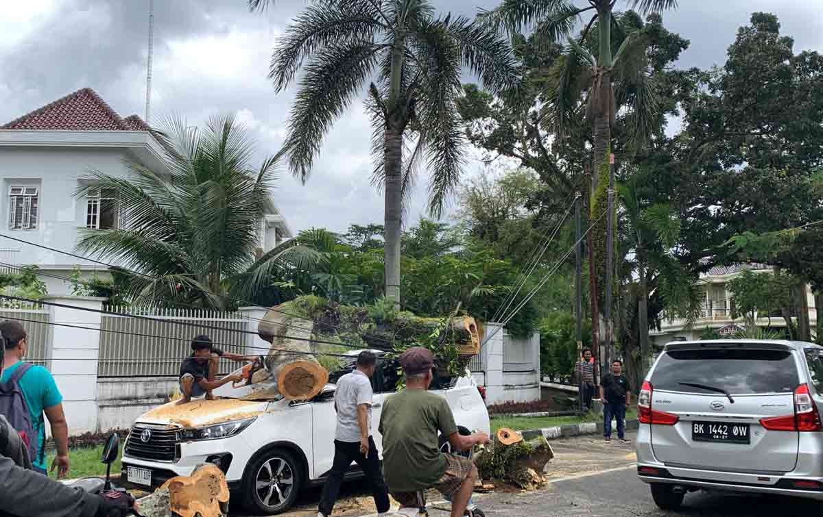 Pohon Tumbang Menimpa Mobil, Tidak Ada Korban Jiwa