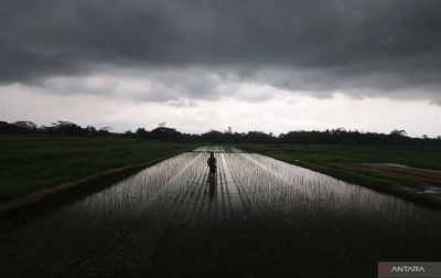 Kebanyakan Provinsi Hadapi Potensi Hujan Lebat dan Angin Kencang